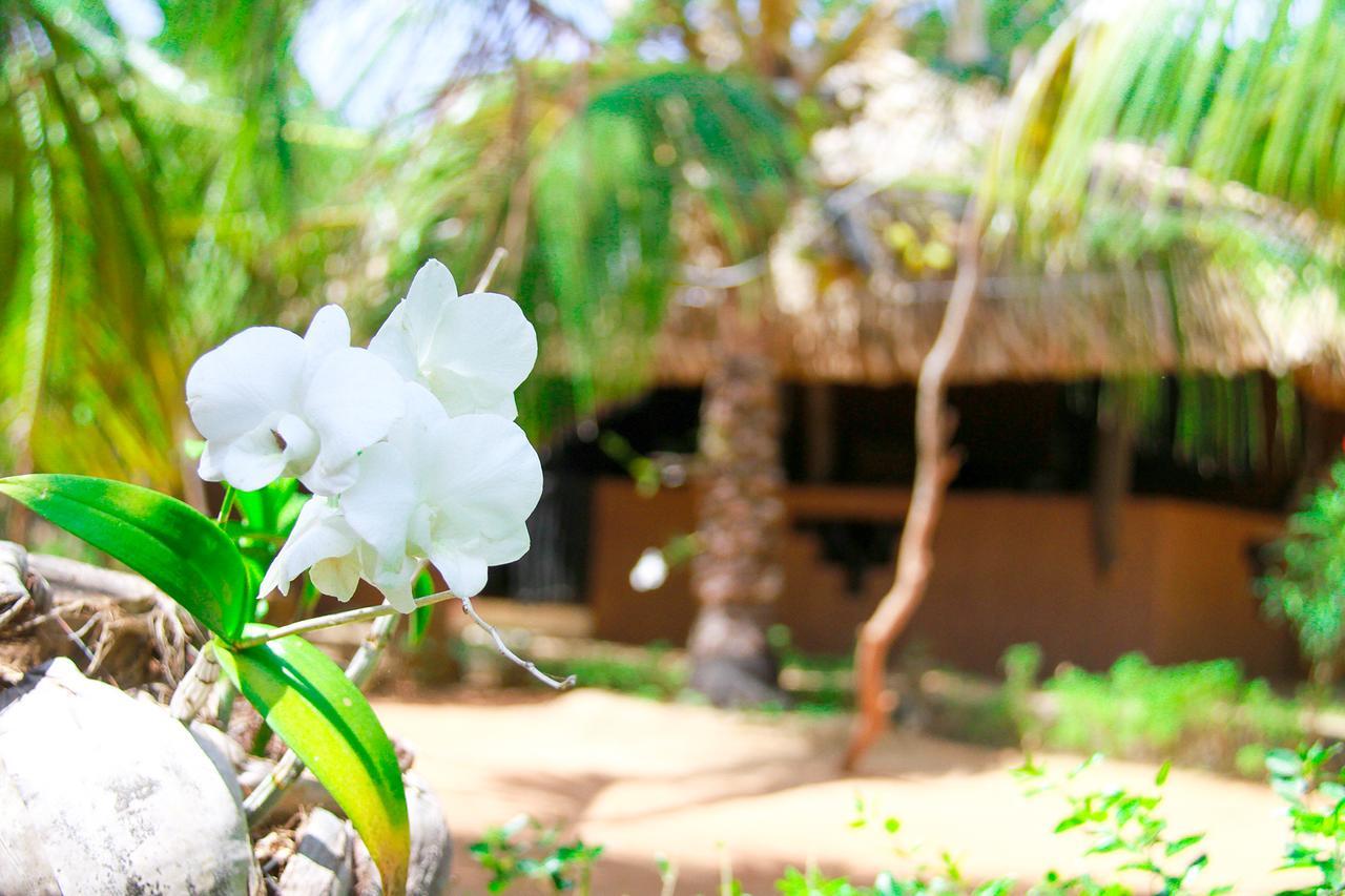 Yalaway Nature Villa Tissamaharama Exterior photo
